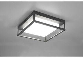 LED nástenné vonkajšie svietidlo (výška 10 cm) Witham - Trio