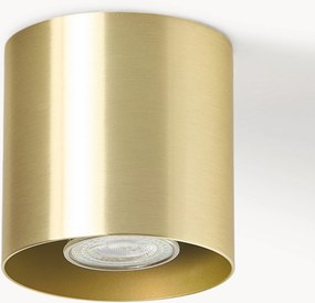 Stropná bodová lampa Roda