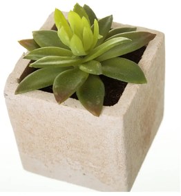 Umelé rastliny v súprave 6 ks (výška 9,5 cm) Cactus – Casa Selección