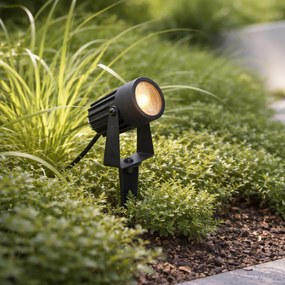 Moderný 12V reflektor čierny vrátane LED IP67 - Voltaire Pico