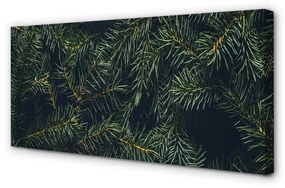 Obraz na plátne Vianočný strom vetvičky 120x60 cm