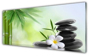 Obraz na akrylátovom skle Bambus stonka kvet rastlina 125x50 cm