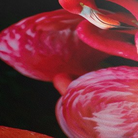 Obraz červených plameniakov (90x60 cm)