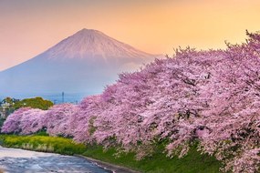 Obraz japonská sopka Fuji