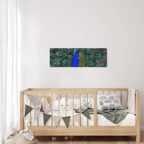 Obraz - Páv (s hodinami) (90x30 cm)