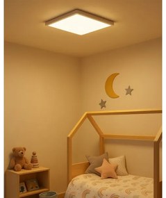 LED stropné svietidlo LED/24W/230V 3000/4000/6500K 30x30 cm biela