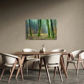 Obraz lesa (90x60 cm)