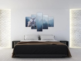 Obraz - Sova snežná (150x105 cm)