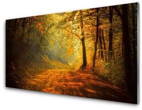 Obraz plexi Les cestička stromy príroda 100x50 cm