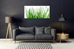 Obraz na skle Tráva 140x70 cm
