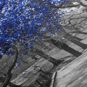 Obrázok - Modré stromy, Central Park, New York (70x50 cm)
