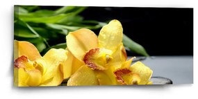 Sablio Obraz Žlté Orchidey - 110x50 cm