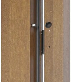 Kovové vchodové dvere S68 Clear 90 Ľ dub zlatý