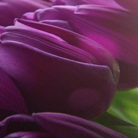 Obraz tulipánov (150x105 cm)