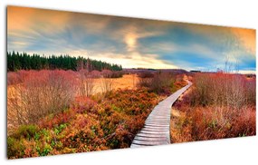 Obraz - Jesenná cesta krajinou (120x50 cm)