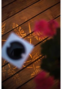 Biela solárna LED svetelná dekorácia z kovu Star Trading Albaleaf