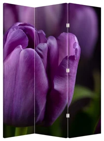 Paraván - Kvet tulipánov (126x170 cm)