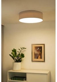 Duolla - LED Stropné svietidlo CORTINA LED/26W/230V pr. 30 cm 4000K šedá