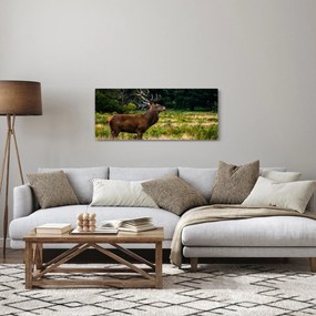 Obraz jeleňa (120x50 cm)