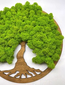 Strom na stenu z machu Marin 30 cm