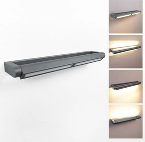 Brilagi -LED Vonkajšie nástenné svietidlo SALERNO LED/24W/230V 66 cm antracit IP65