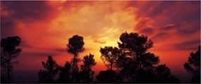Obraz západu slnka (120x50 cm)