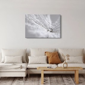 Obraz - Kvapka vody (90x60 cm)