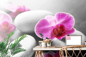 Samolepiaca fototapeta kvety orchidey na kameňoch - 150x100
