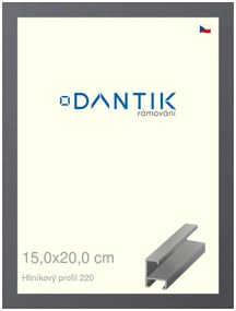 DANTIK rám na obraz 15x20 | ALU Ocelová (Sklo Čiré)