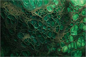 Obraz - Zelený mikroskopický záber (90x60 cm)