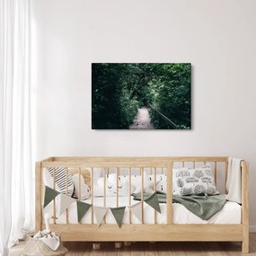 Obraz - Cesta lesom (90x60 cm)
