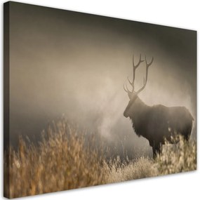 Obraz na plátně, Jeleń v přírodě mlhy - 90x60 cm