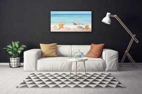 Obraz Canvas Hviezdice mušle pláž 120x60 cm