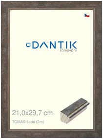 DANTIK rám na obraz 21x29,7 | TOMAS šedá (Sklo Čiré)