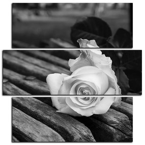 Obraz na plátne - Biela ruža na lavici - štvorec 3224QD (105x105 cm)