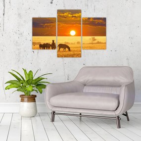 Obraz - Zebry so západom slnka (90x60 cm)