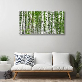 Obraz na plátne Breza les stromy príroda 125x50 cm