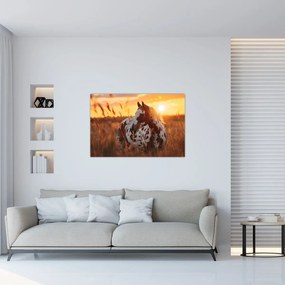Obraz - Kôň pri západe slnka (90x60 cm)