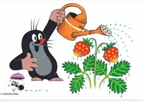 Drevené kocky s Krtkom - 6 ks