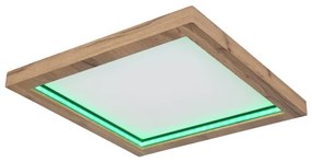 Globo 41374-24 - LED RGBW Stmievateľné stropné svietidlo BRANZA LED/24W/230V + DO