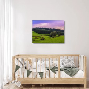 Sklenený obraz lúky (70x50 cm)