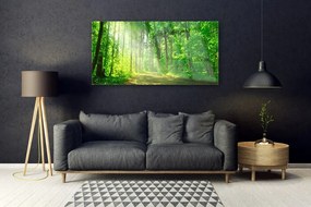 Obraz plexi Les cestička stromy príroda 120x60 cm
