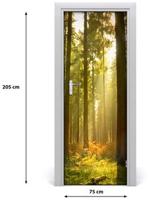 Fototapeta na dvere pekný les 75x205 cm