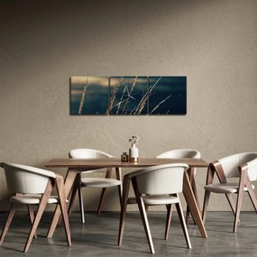Obraz tráv (s hodinami) (90x30 cm)