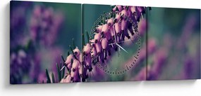 Obraz fialovej kvetiny (s hodinami) (90x30 cm)