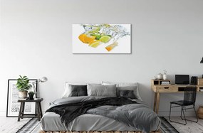 Obraz plexi Voda citrus 100x50 cm