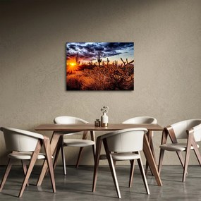 Obraz - Zlatá hodinka púšte (70x50 cm)