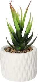 Dekorácie Sansevieria 12cm
