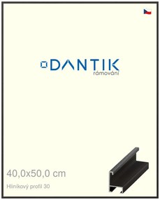 DANTIK rám na obraz 40x50 | ALU Dýha černá (Plexi Čiré)