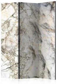 Paraván - Marble Mystery [Room Dividers] Veľkosť: 135x172, Verzia: Akustický
